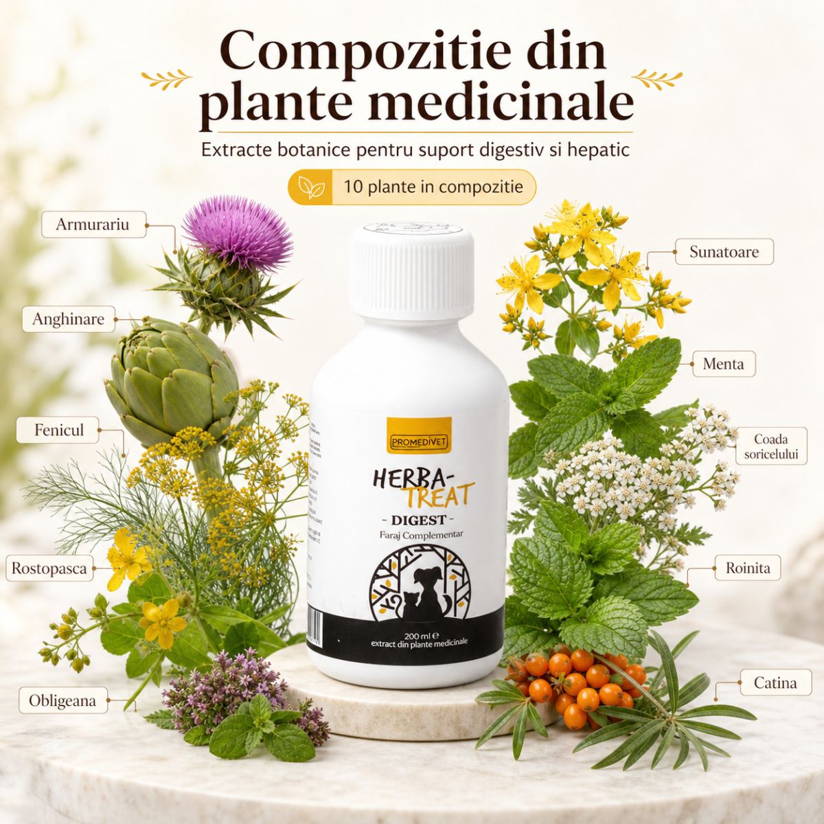 PROMEDIVET Herba-Treat Digest Hepatoprotector, supliment sistem digestiv câini, suspensie orală PROMEDIVET Herba-Treat Digest Hepatoprotector, XS-XL, supliment sistem digestiv câini și pisici, flacon, 200ml suspensie orală - imagine 5